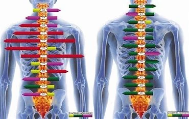Chiropractic Edmond OK Body Scan A body scan showing the way that the nervous system benefits from massage